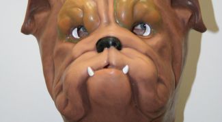 Картинка по теме - как сделать маску собаки