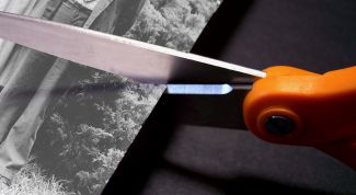 Картинка по теме - как отделить фотографию