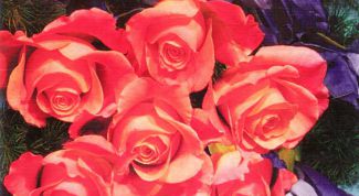 Картинка по теме - как поздравить с юбилеем 55 лет