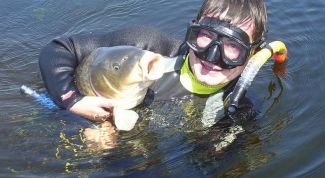 Картинка по теме - как выбрать ружьё для подводной охоты