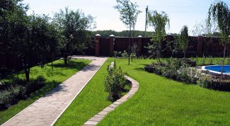 Картинка по теме - как зарегистрировать садовый участок