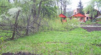 Картинка по теме - как узаконить самозахват земли