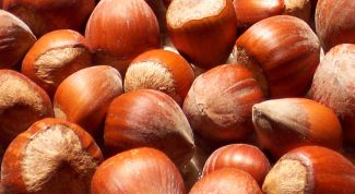 Картинка по теме - как нарисовать орех