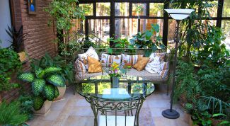 Картинка по теме - как оформить зимний сад