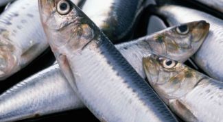 Картинка по теме - как чистить сельдь