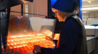 Картинка по теме - как сделать овоскоп