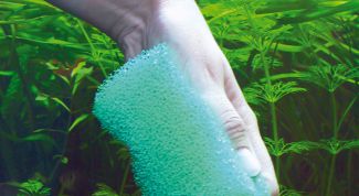 Картинка по теме - как чистить стекла аквариума