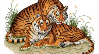 Картинка по теме - как превратить фотографию в схему вышивки