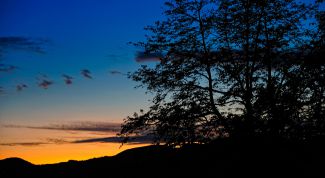 Картинка по теме - как провести сегодняшний вечер