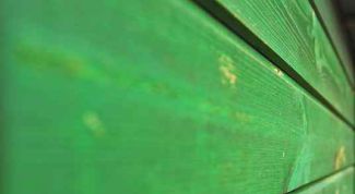 Картинка по теме - как удалить запах краски