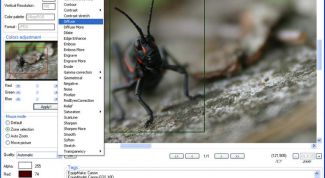 Картинка по теме - как установить элемент activex