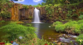 Картинка по теме - как поставить flash заставку