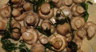 Картинка по теме - как готовить консервированные шампиньоны