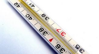 Картинка по теме - как поднять низкую температуру тела