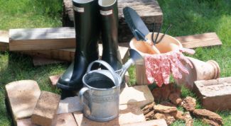 Картинка по теме - как оборудовать теплицу