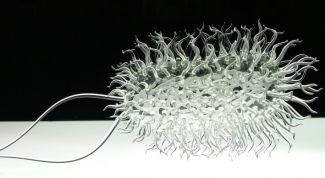 Картинка по теме - как избавиться от кишечной палочки