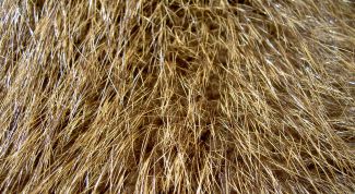 Картинка по теме - как сделать цветы из меха