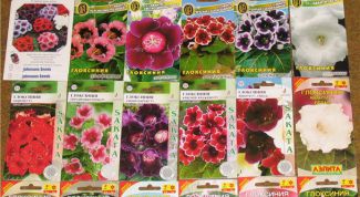 Картинка по теме - как продавать семена