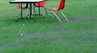 Картинка по теме - как удобрять газон