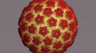 Картинка по теме - как лечить вирус папиломы человека