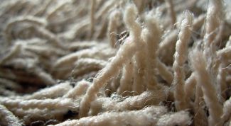 Картинка по теме - как чистить ковры с длинным ворсом