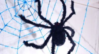 Картинка по теме - как связать паутину