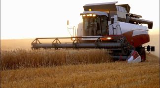 Картинка по теме - как получить кредит для сельского хозяйства