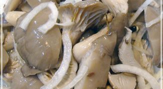 Картинка по теме - как мариновать грибы вешенки