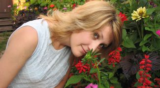 Картинка по теме - как улучшить обоняние