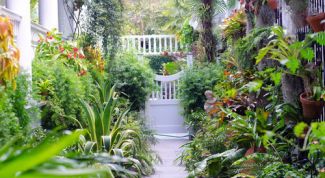 Картинка по теме - как облагородить дачу