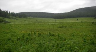 Картинка по теме - как оформить паевую землю