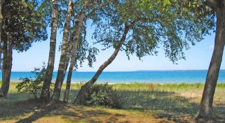 Картинка по теме - как научиться рисовать тени