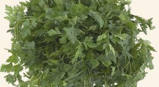 Картинка по теме - как убрать песок из почек