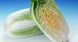 Картинка по теме - как резать пекинскую капусту