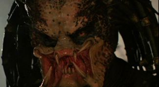 Картинка по теме - как сделать костюм хищника