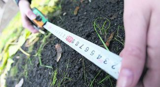 Картинка по теме - как рассчитать арендную плату земельного участка