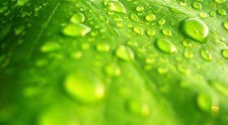 Картинка по теме - как активировать windows