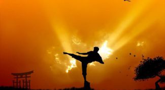 Картинка по теме - как сдать на желтый пояс