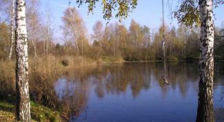 Картинка по теме - как купить землю в подмосковье