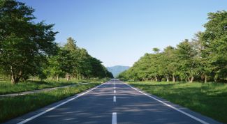 Картинка по теме - как оплатить штраф, если потеряна квитанция