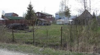 Картинка по теме - как оформить участок в садоводстве