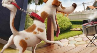 Картинка по теме - как собрать волю