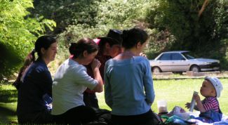 Картинка по теме - как организовать пикник