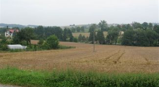 Картинка по теме - как получить землю под строительство жилого дома