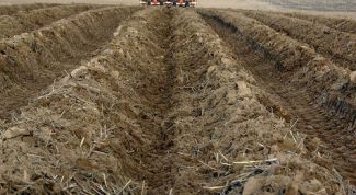 Картинка по теме - как изменить вид разрешенного использования земли