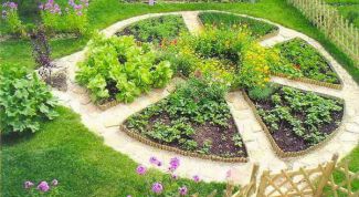 Картинка по теме - как зарегистрировать дачный участок