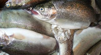 Картинка по теме - как определить качество рыбы
