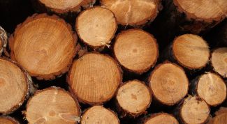 Картинка по теме - как сделать канифоль