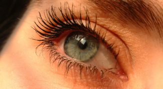 Картинка по теме - как приклеить пучковые ресницы