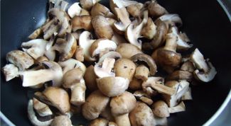 Картинка по теме - как пожарить грибы в сметане